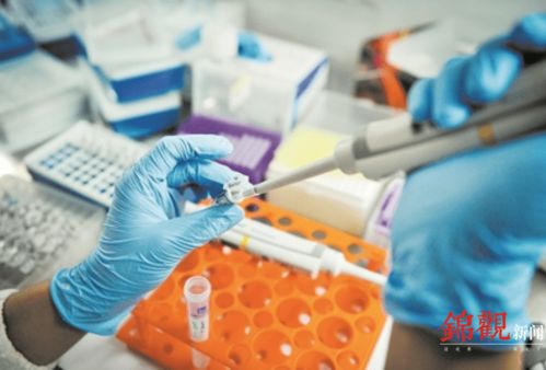 睿樂達再次吸睛 從機器人到原研藥，看成都566.8億元高新技術產品背后的創新韌性